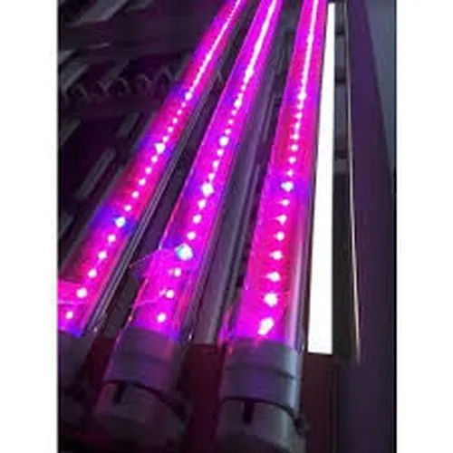 Led Grow Light In Kolkata (Calcutta) - Prices, Manufacturers & Suppliers