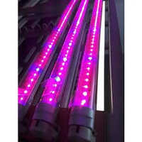 Hydroponics Led Grow Light