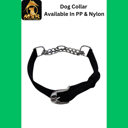 Dog Choke Collar with Buckle PP / NYLON