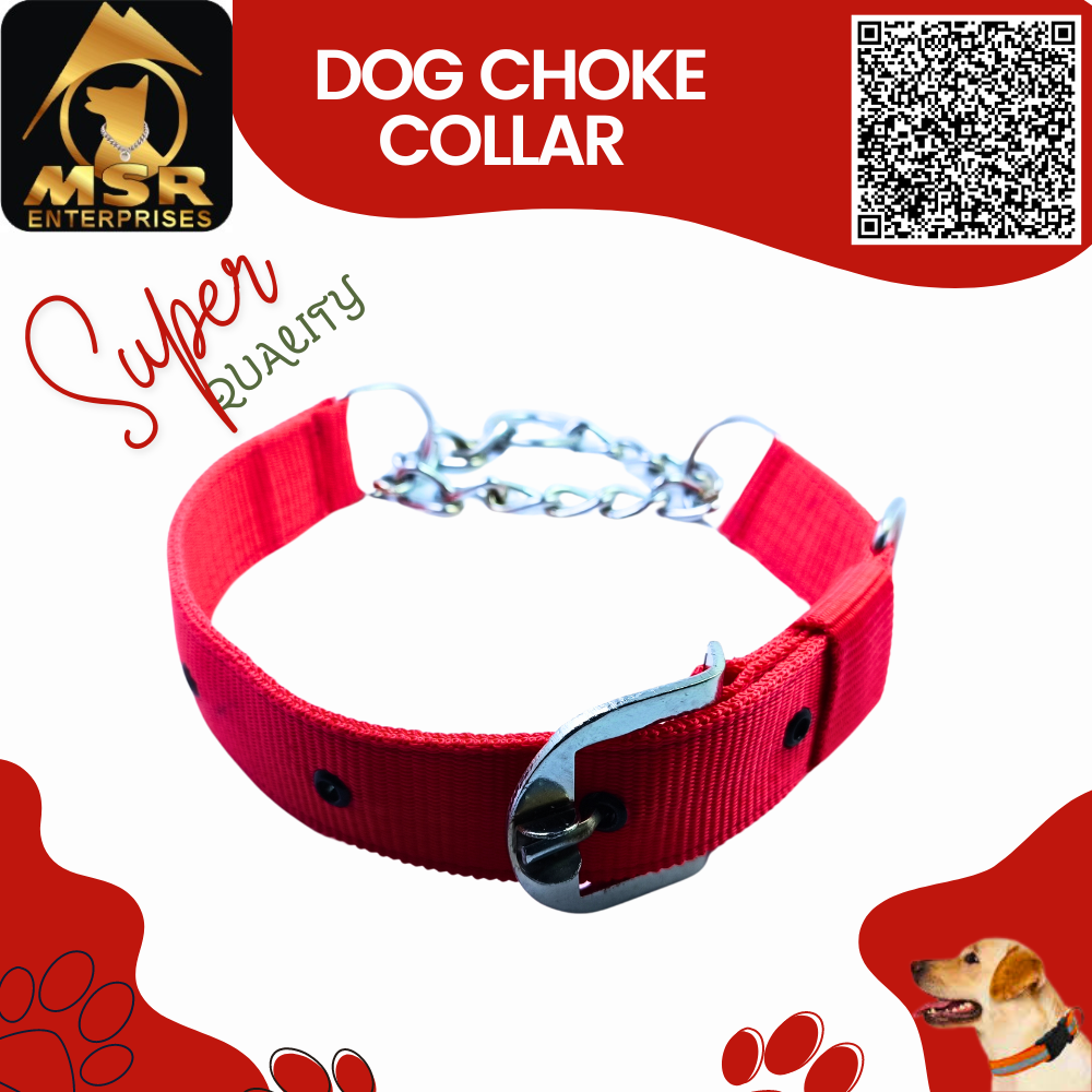 Dog Collar & Choke Buckle Collar