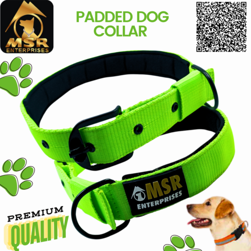 Padded Dog Collar ( PP / NYLON )