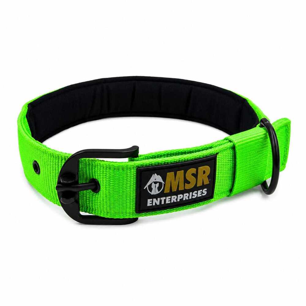 Dog Collar Padded