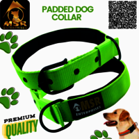 Padded Dog Collar (pp/nylon) - 1.5 Inch Size | High Quality Material, Vibrant Yellow Color, Suitable For All Breeds And Ages