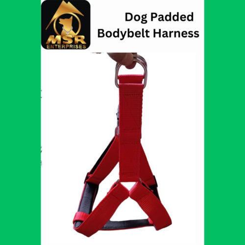 Dog Padded Body Belt Harness (PP / NYLON)