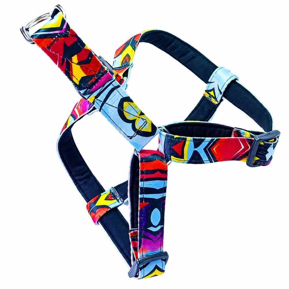 Dog  Harness &  Printed Padded