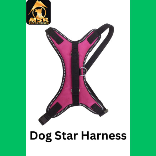 Dog Star Harness