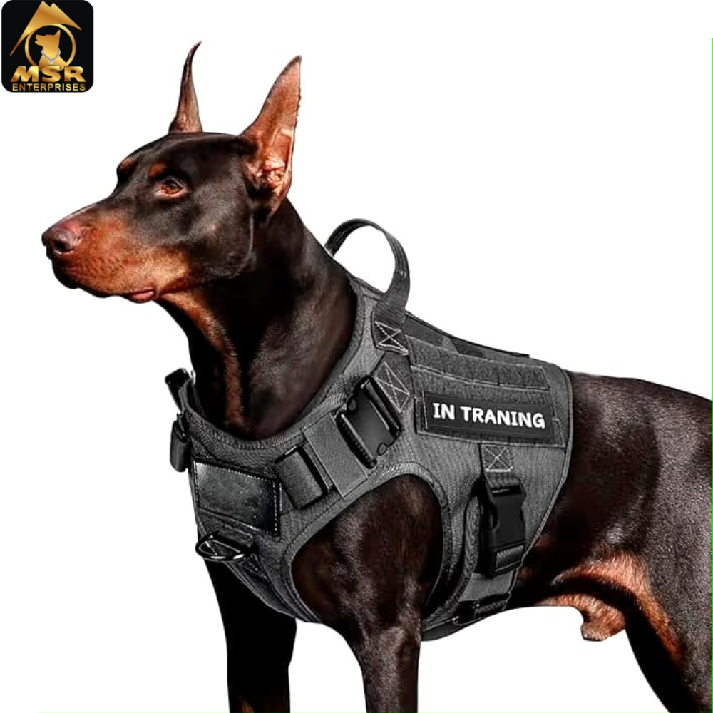 Dog Harness