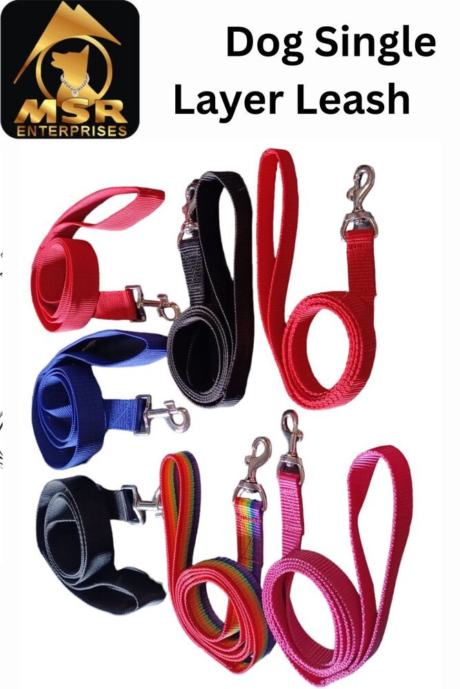 Red Pp And Nylon Single Layer Dog Leash