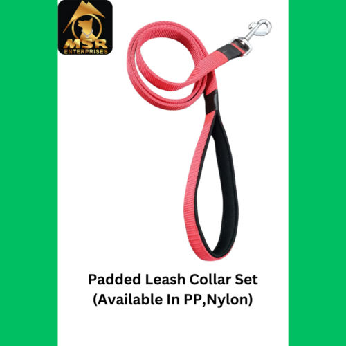 Pink Pp And Nylon Padded Dog Leash