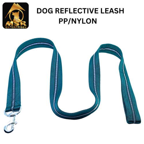 Reflective Dog Leash ( PP / NYLON )