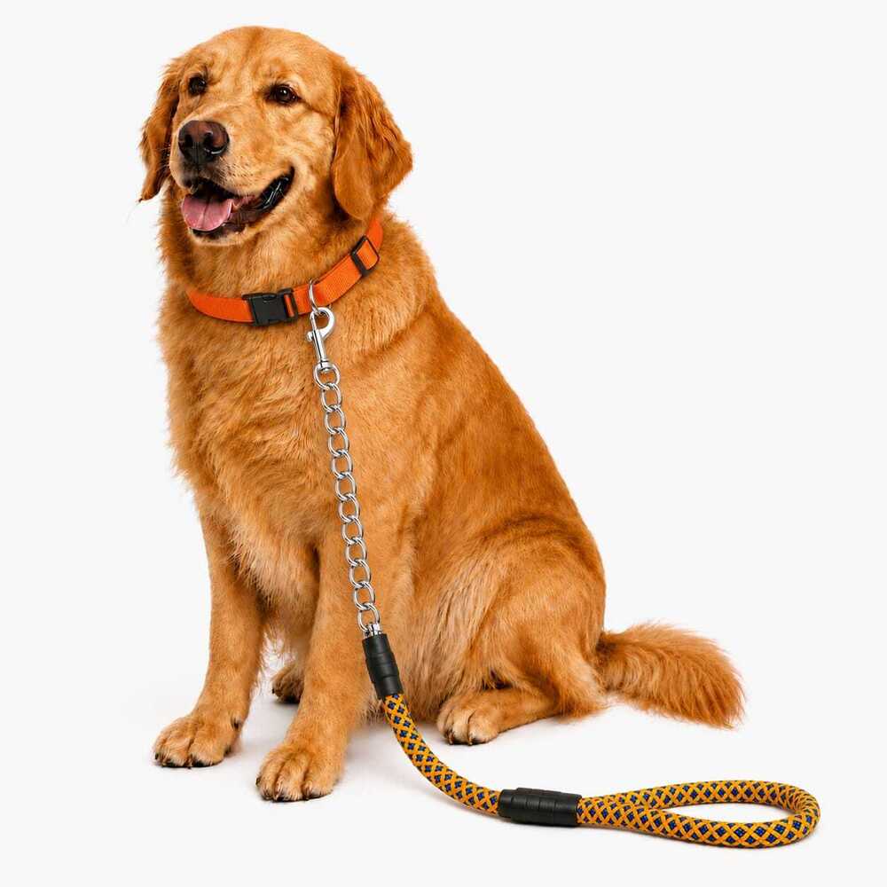 Dog Leash Half chain with Half Rope Lead