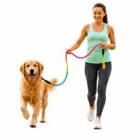 Dog Rainbow Rope With Rubber Handle - 15mm | Multicolor Durable Nylon, Ideal For Training And Outdoor Activities