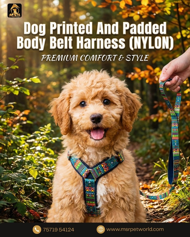 Dog Leash & Harness Bodybelt Printed
