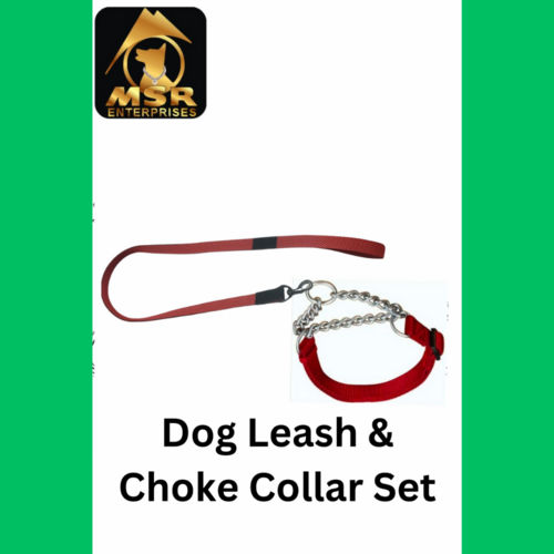 Dog Leash And Choke Collar Set