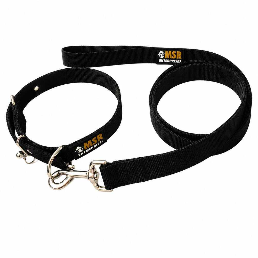 Dog Collar & Leash