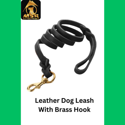 Leather Braided Dog Leash With Brass Hook
