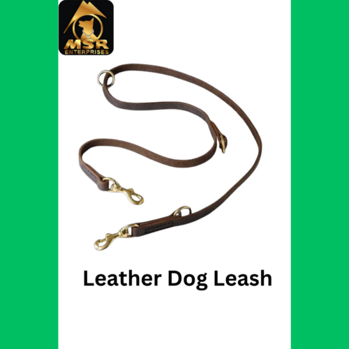 Leather Dog  Show Leash Export