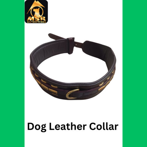 Brown Leather Dog Collar