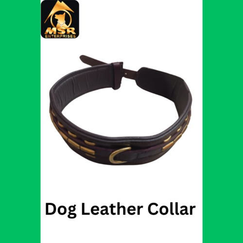 Leather Fancy Dog Collar