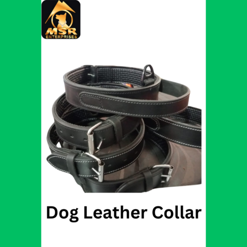 Leather Ultimate Padded Dog Collar Export