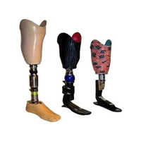 Carbon Fiber Below Knee Prosthesis - Color: Silver