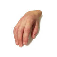Silicon Cosmetic Hand