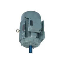 Silver Kirloskar Electric Motor