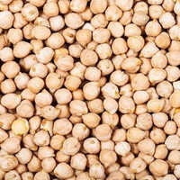 Kabuli Chickpeas Beans