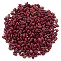 Kidney Beans