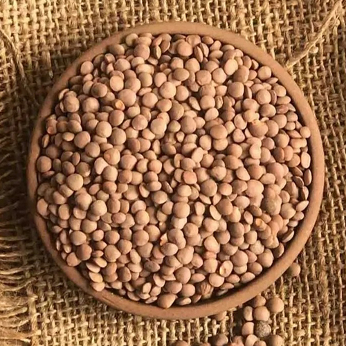 Organic Whole Masoor Dal