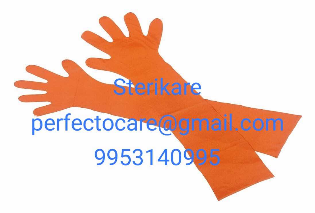 Disposable LDPE Veterinary Gloves