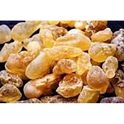 Boswellia Serrata Extract ( Sallai Guggal )