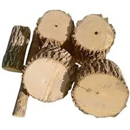 Clerodendrum Phlomidis Extract ( Arani Mool )