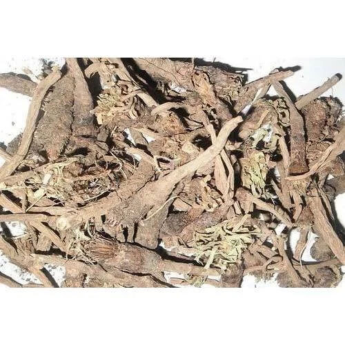 Anacyclus Pyrethrum Extract (Akarkaro)