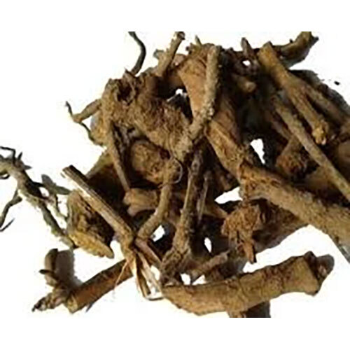 Inula Racemosa Extract ( Pushkarmool )