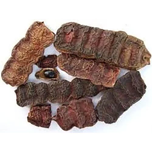Acacia Concina Extract (Shikakai)