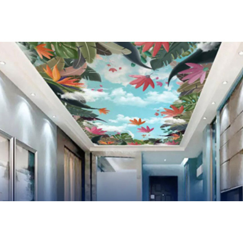 Stretch False Ceiling