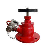 Single Head Hydrant Valve