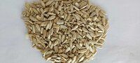 Organic Sunflower Seeds