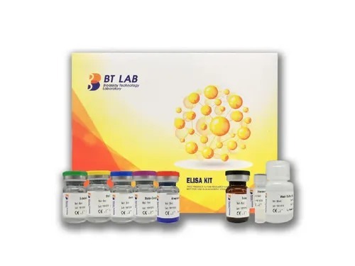 BT Labs Human Epithelial Cell Adhesion Molecule, EP-CAM Elisa Kit