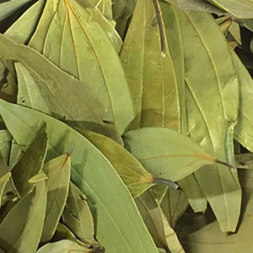 Bay Leaf