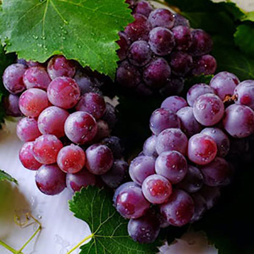 Grapes Juice Packaging: Bulk