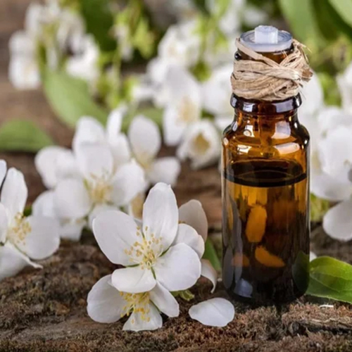 Jasmine Essential Oil