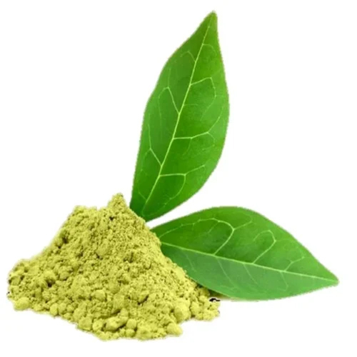 Green Tea Extract