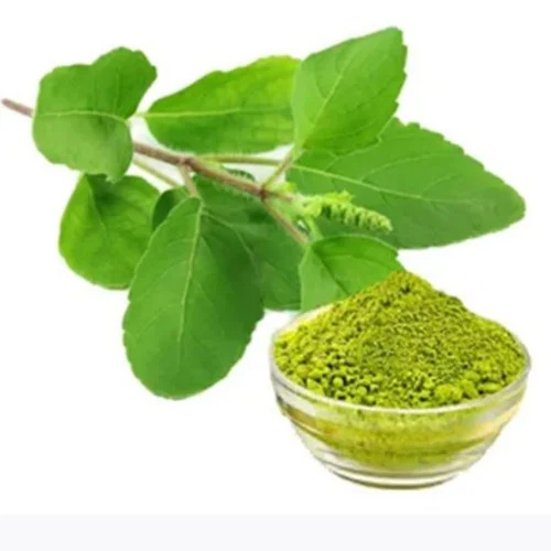 Tulsi Dry Extracts