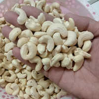 Fresh Cashew Nut