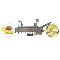 Automatic Potato Chips Fryer
