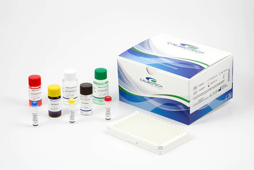 Calbiotech Progesterone Elisa Kit