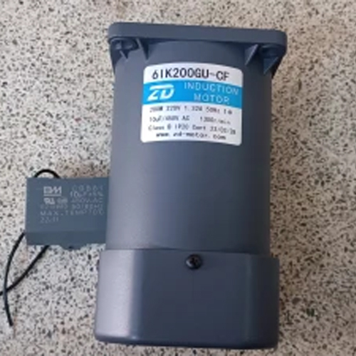 Reversible Motor