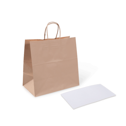 Pth 16 Paper Bag (W) Handle